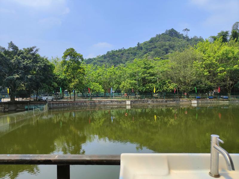 在阳春三月中学校在东莞农家乐中组织了一场踏青研学的出游