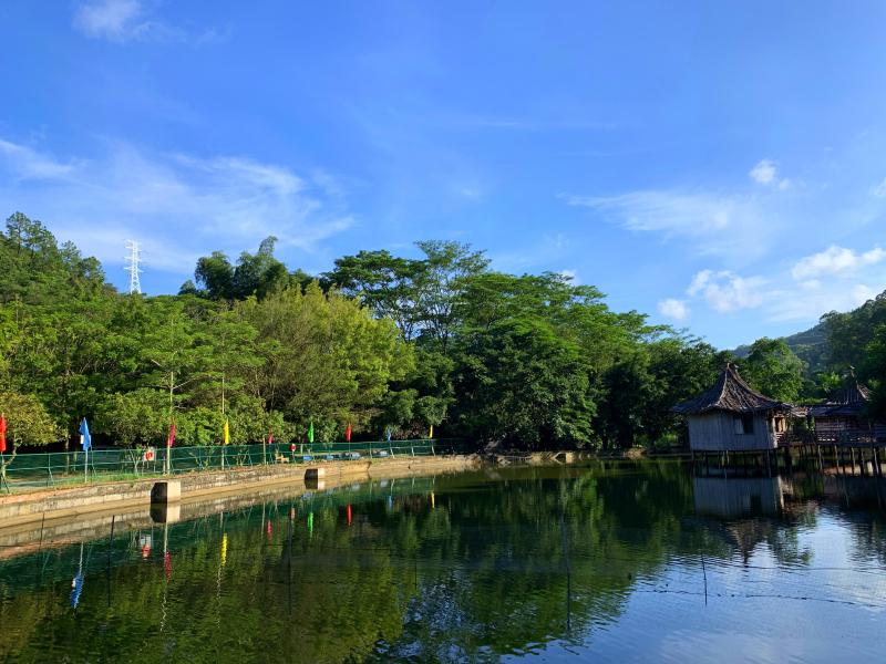 东莞幸福港自驾之旅-亲子间的互动、感情升温的快乐时光